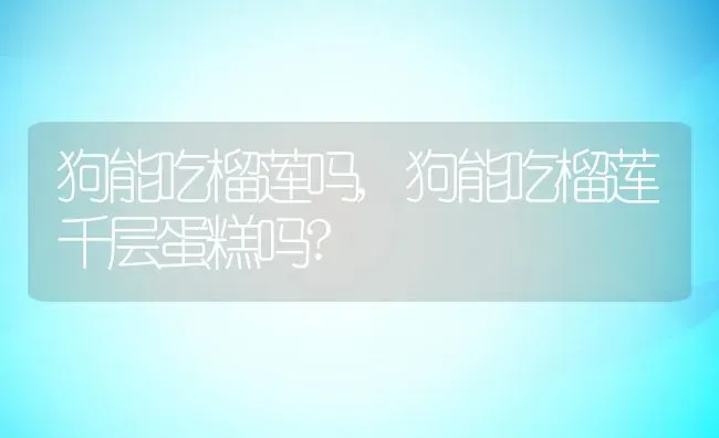 狗能吃榴莲吗,狗能吃榴莲千层蛋糕吗? | 养殖科普