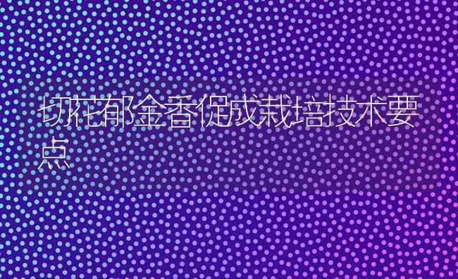 切花郁金香促成栽培技术要点 | 养殖技术大全