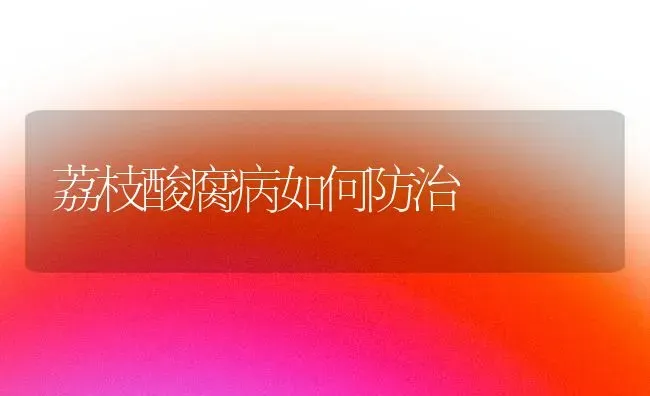 荔枝酸腐病如何防治 | 养殖技术大全
