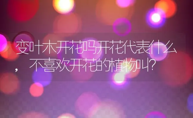 变叶木开花吗开花代表什么,不喜欢开花的植物叫？ | 养殖科普