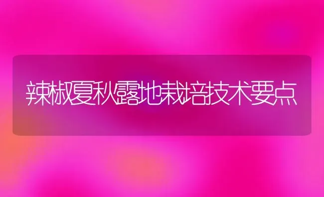 辣椒夏秋露地栽培技术要点 | 养殖技术大全