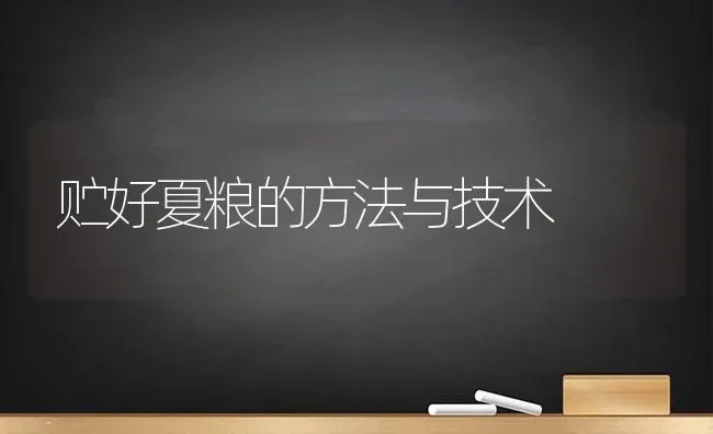 贮好夏粮的方法与技术 | 养殖技术大全