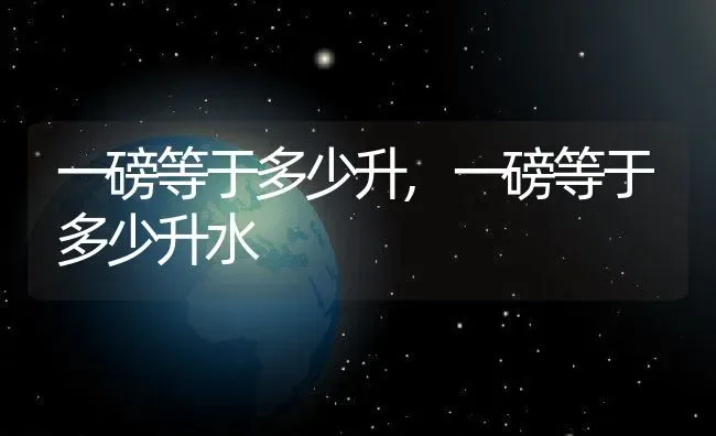 一磅等于多少升,一磅等于多少升水 | 养殖科普