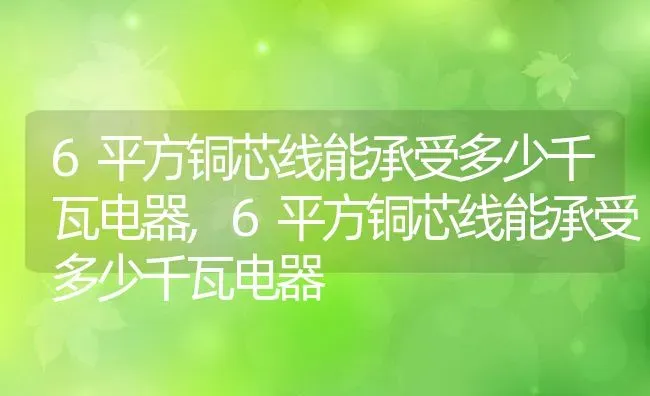 6平方铜芯线能承受多少千瓦电器,6平方铜芯线能承受多少千瓦电器 | 养殖科普