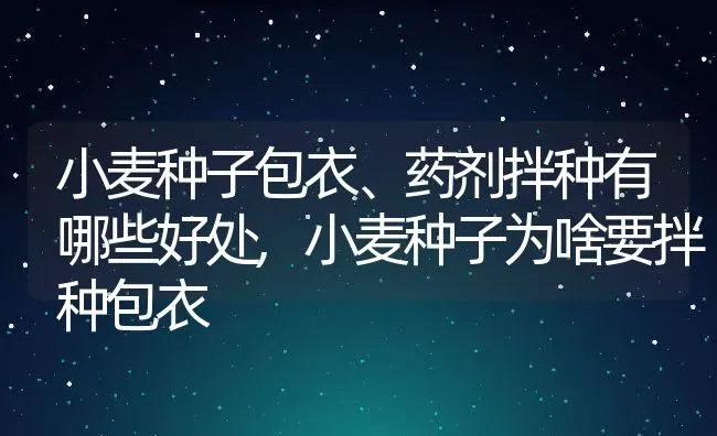 小麦种子包衣、药剂拌种有哪些好处,小麦种子为啥要拌种包衣 | 养殖学堂