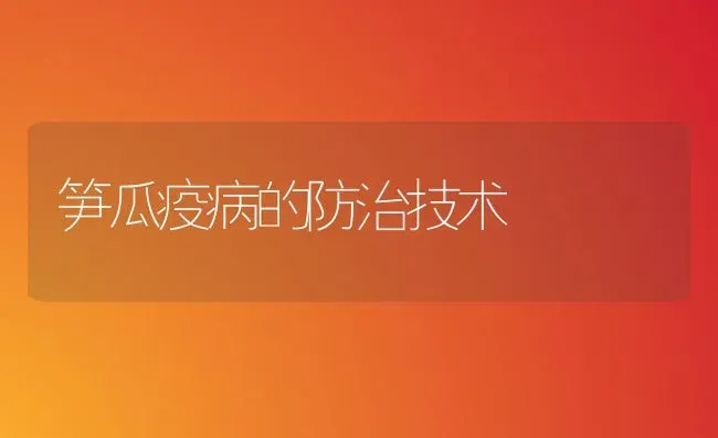 笋瓜疫病的防治技术 | 养殖知识