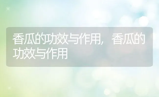 香瓜的功效与作用,香瓜的功效与作用 | 养殖科普