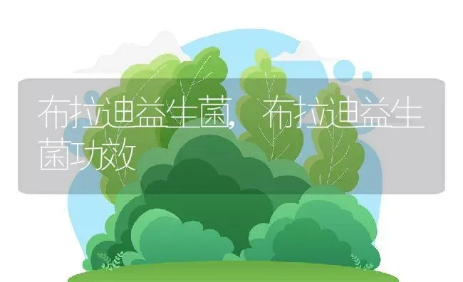 布拉迪益生菌,布拉迪益生菌功效 | 养殖科普