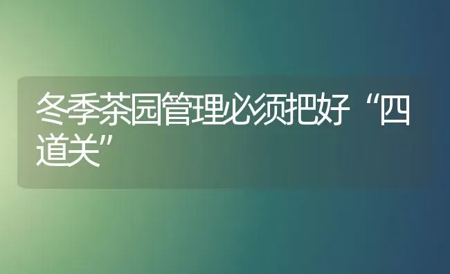 冬季茶园管理必须把好“四道关” | 养殖知识