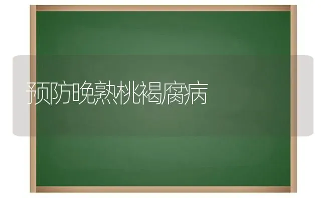 预防晚熟桃褐腐病 | 养殖技术大全