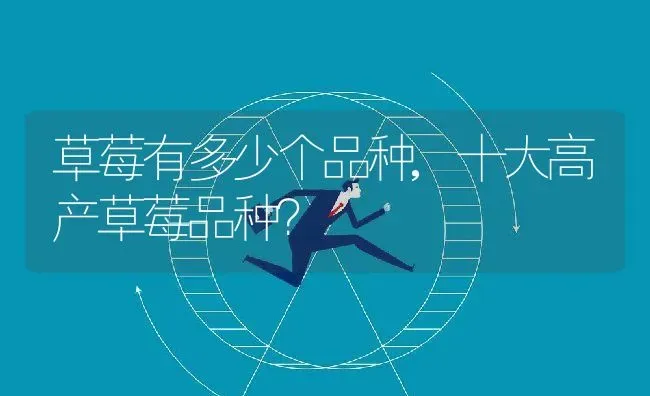 草莓有多少个品种,十大高产草莓品种？ | 养殖科普