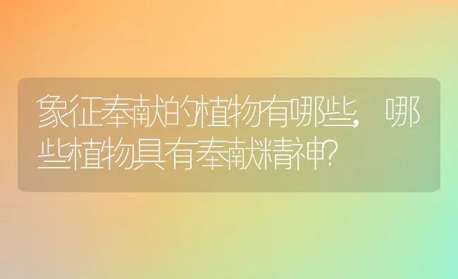 狗吃骨头能消化吗,狗吃骨头能消化吗没嚼 | 养殖科普