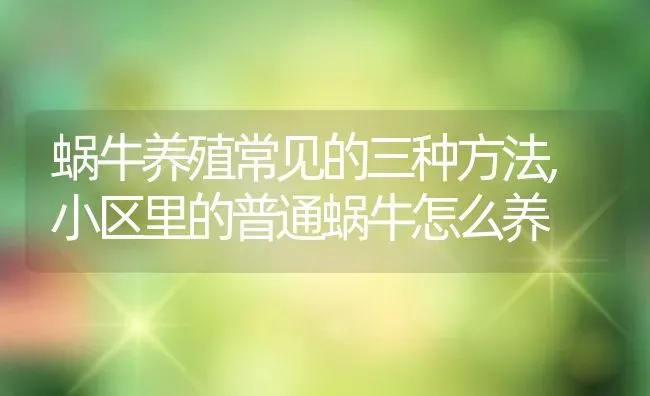蜗牛养殖常见的三种方法,小区里的普通蜗牛怎么养 | 养殖学堂