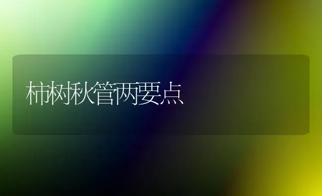 柿树秋管两要点 | 养殖技术大全