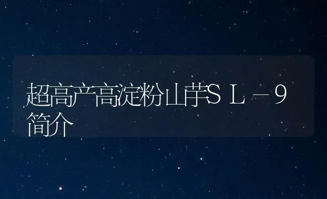 超高产高淀粉山芋SL-9简介 | 养殖技术大全