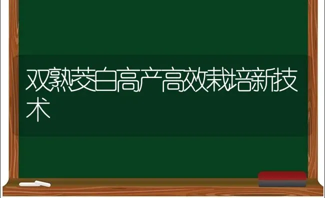 双熟茭白高产高效栽培新技术 | 养殖技术大全