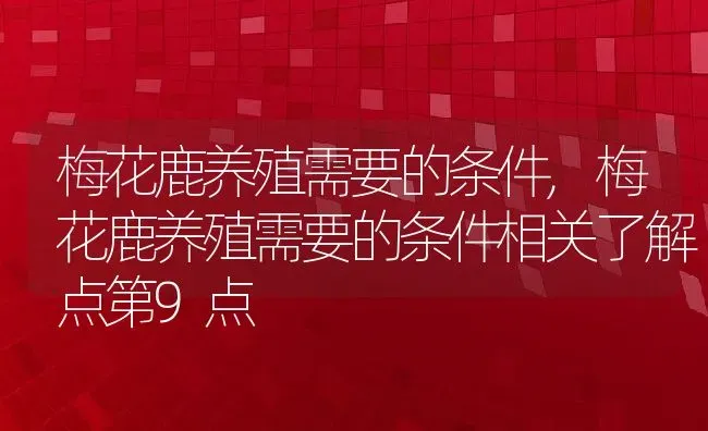 梅花鹿养殖需要的条件,梅花鹿养殖需要的条件相关了解点第9点 | 养殖学堂