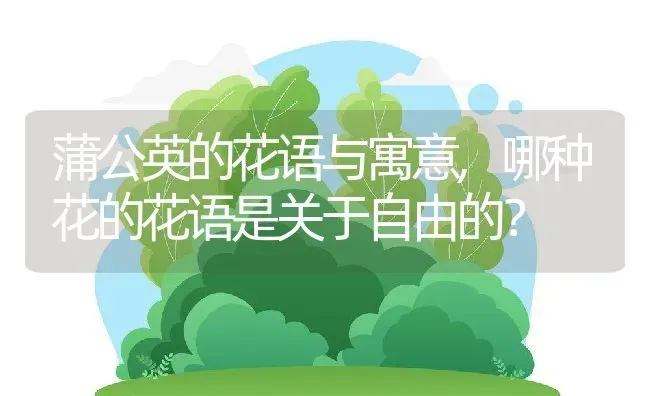 蒲公英的花语与寓意,哪种花的花语是关于自由的？ | 养殖科普