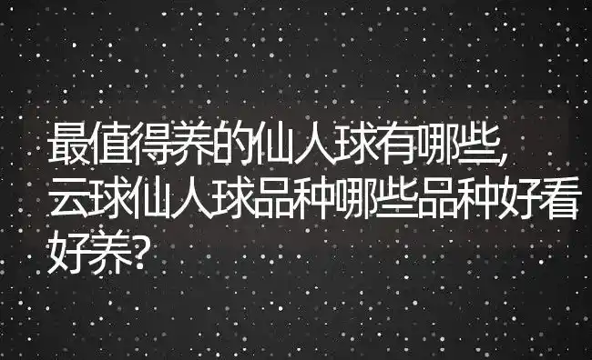 最值得养的仙人球有哪些,云球仙人球品种哪些品种好看好养？ | 养殖学堂