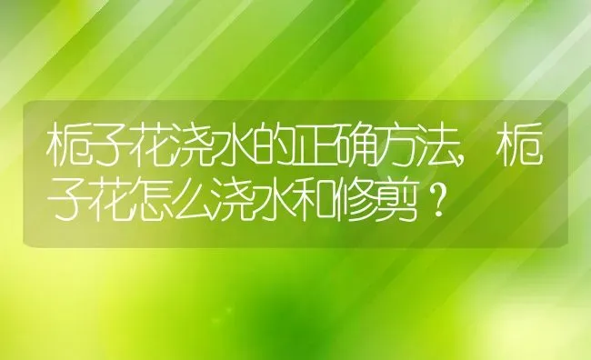 栀子花浇水的正确方法,栀子花怎么浇水和修剪？ | 养殖学堂