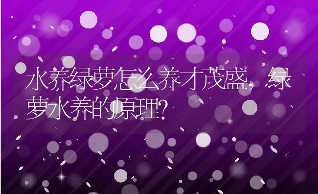 水养绿萝怎么养才茂盛,绿萝水养的原理？ | 养殖科普