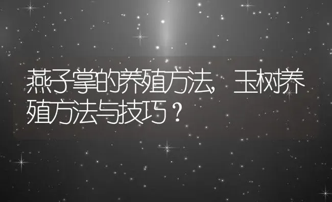 燕子掌的养殖方法,玉树养殖方法与技巧？ | 养殖科普