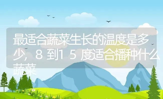 最适合蔬菜生长的温度是多少,8到15度适合播种什么蔬菜 | 养殖学堂