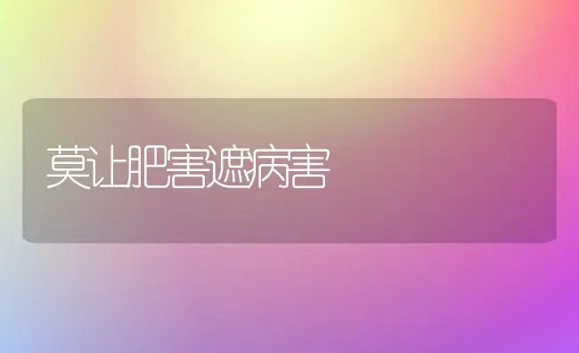 莫让肥害遮病害 | 养殖知识