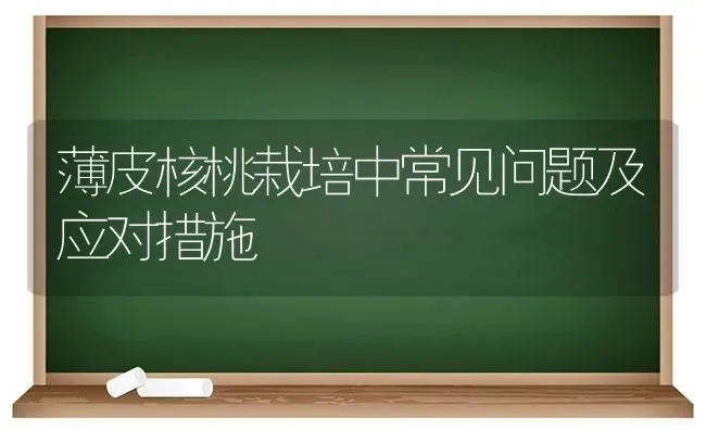 薄皮核桃栽培中常见问题及应对措施 | 养殖技术大全