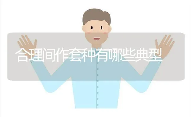 合理间作套种有哪些典型 | 养殖技术大全