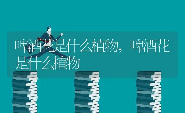 李子什么时候栽种合适,李子什么时候过季？ | 养殖科普