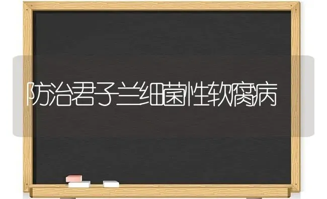 防治君子兰细菌性软腐病 | 养殖知识