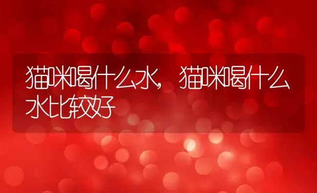 猫咪喝什么水,猫咪喝什么水比较好 | 养殖科普