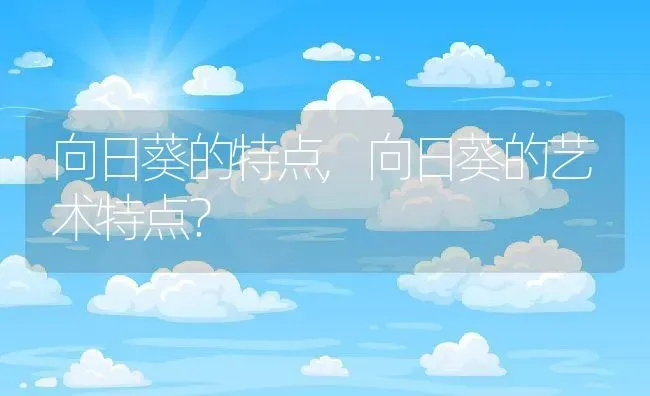 向日葵的特点,向日葵的艺术特点？ | 养殖科普