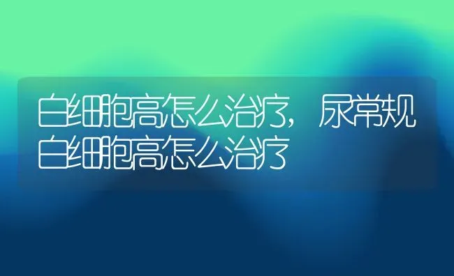 白细胞高怎么治疗,尿常规白细胞高怎么治疗 | 养殖科普