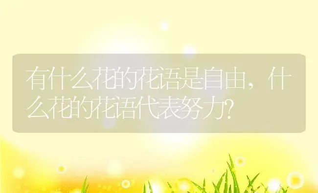 有什么花的花语是自由,什么花的花语代表努力？ | 养殖科普