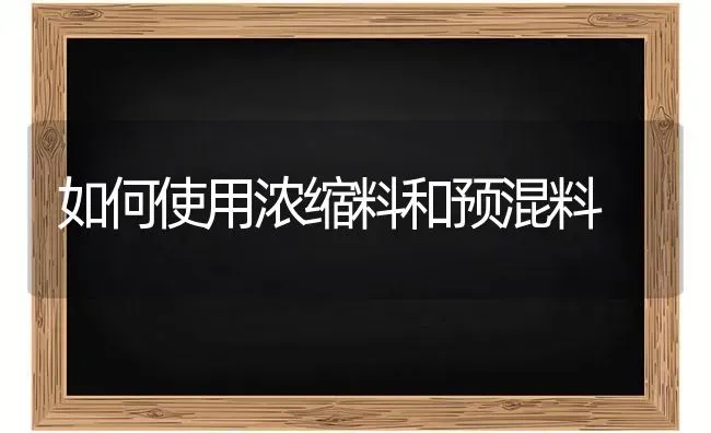 如何使用浓缩料和预混料 | 养殖知识