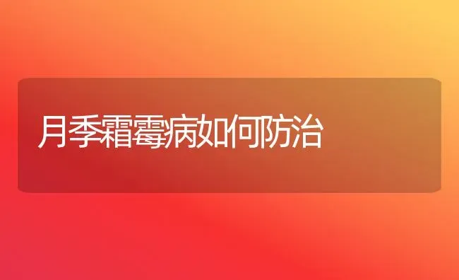 月季霜霉病如何防治 | 养殖技术大全