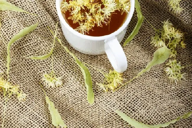 桂花怎么晒干,桂花怎么晒才好？
