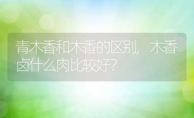 青木香和木香的区别,木香卤什么肉比较好？ | 养殖科普