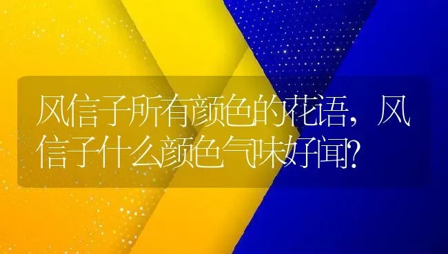 风信子所有颜色的花语,风信子什么颜色气味好闻？ | 养殖科普