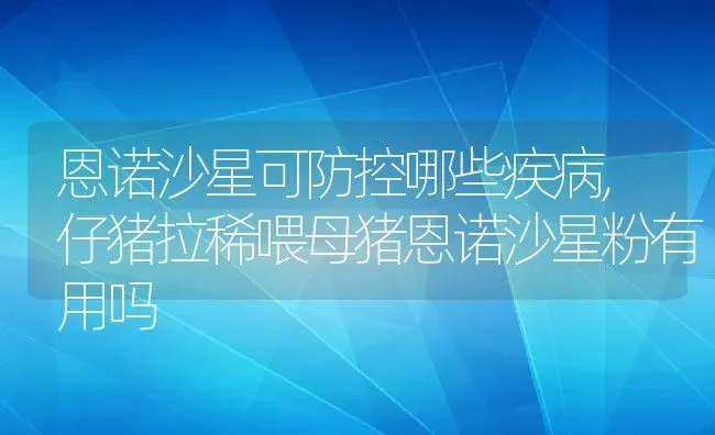 恩诺沙星可防控哪些疾病,仔猪拉稀喂母猪恩诺沙星粉有用吗 | 养殖学堂