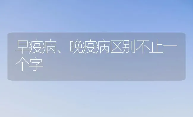 早疫病、晚疫病区别不止一个字 | 养殖技术大全