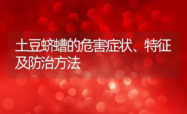 土豆蛴螬的危害症状、特征及防治方法 | 养殖学堂