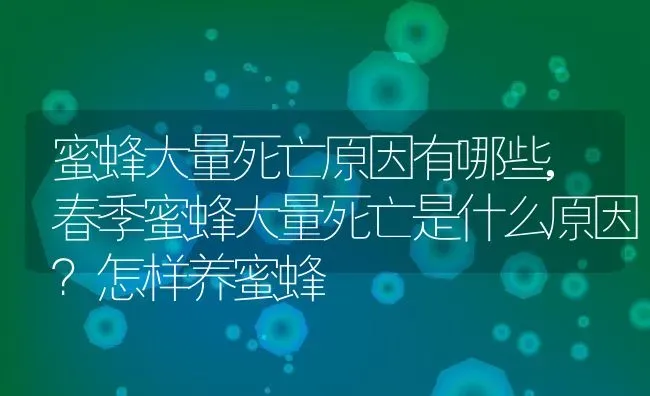 蜜蜂大量死亡原因有哪些,春季蜜蜂大量死亡是什么原因？怎样养蜜蜂 | 养殖学堂