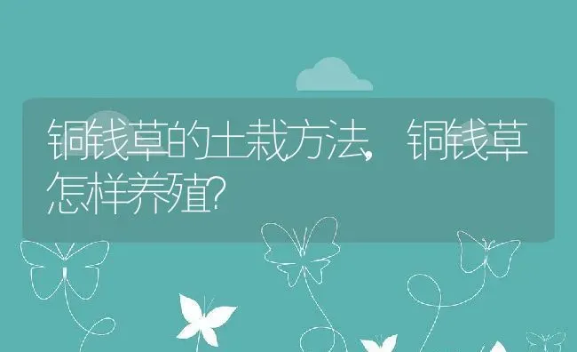 铜钱草的土栽方法,铜钱草怎样养殖？ | 养殖科普