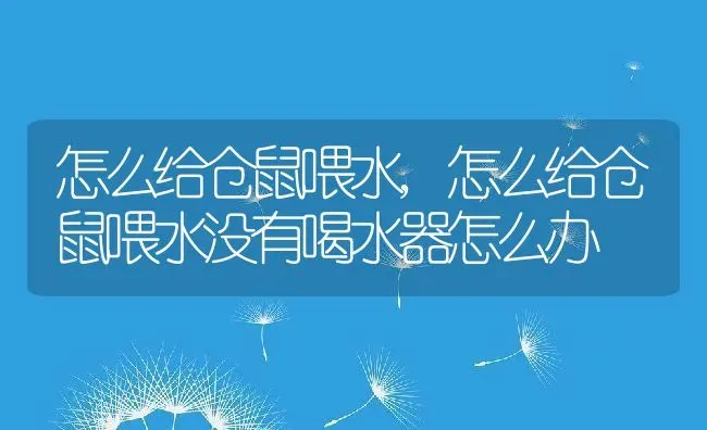 怎么给仓鼠喂水,怎么给仓鼠喂水没有喝水器怎么办 | 养殖科普