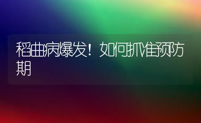 稻曲病爆发！如何抓准预防期 | 养殖技术大全