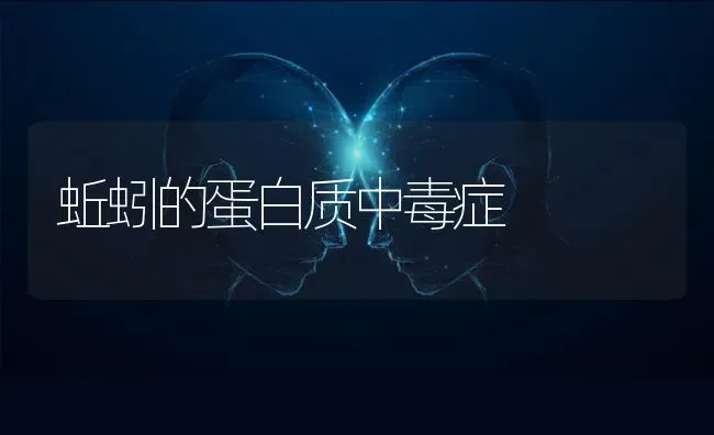 蚯蚓的蛋白质中毒症 | 养殖知识