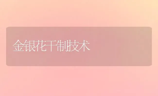 金银花干制技术 | 养殖知识